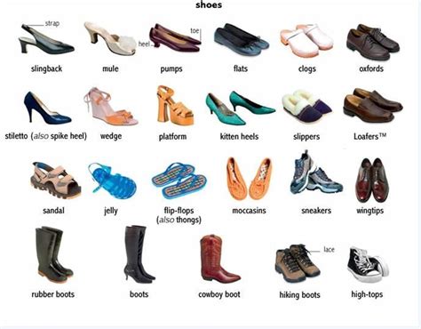 Shoe Synonyms: 50 Synonyms and Antonyms for Shoe.